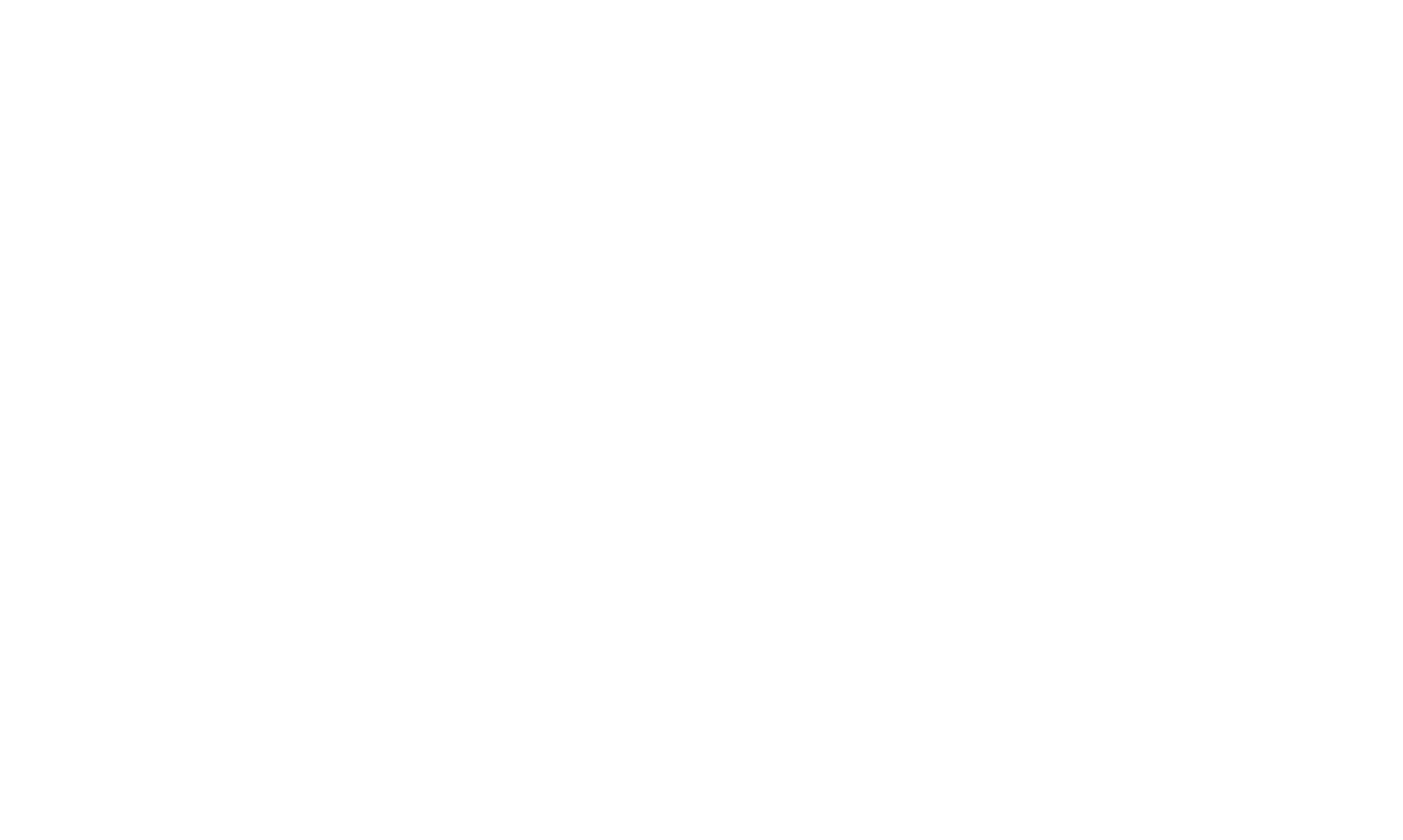 IMPETUS